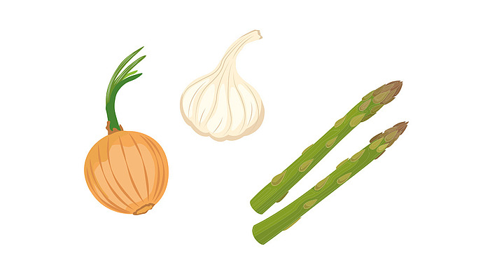 Illustration von drei Gemüsesorten auf weißem Hintergrund: eine ganze Zwiebel mit grünen Trieben, eine Knoblauchknolle und zwei grüne Spargelstangen.