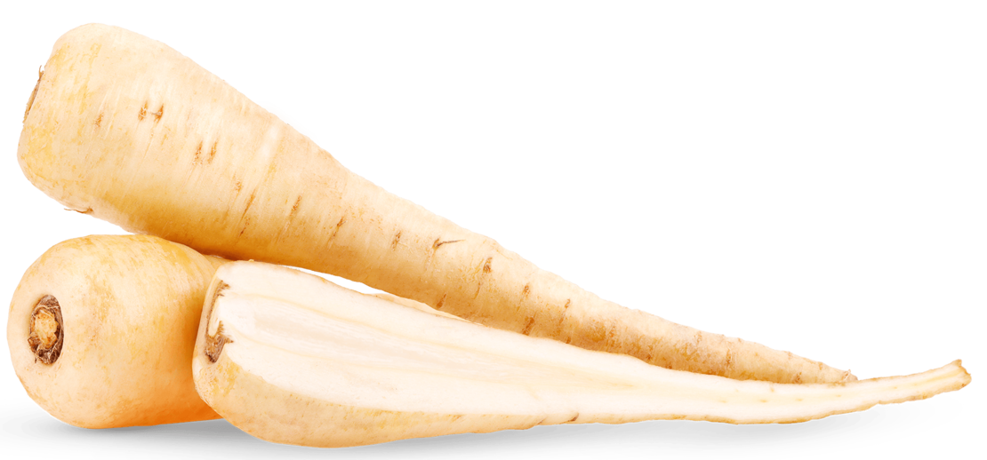 Auf weißem Hintergrund sind zwei Pastinaken abgebildet, eine ganz und eine der Länge nach halbiert, so dass das helle, cremige Innere und die spitz zulaufende Form des Wurzelgemüses sichtbar werden.