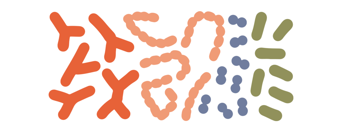 Illustration Bakterien