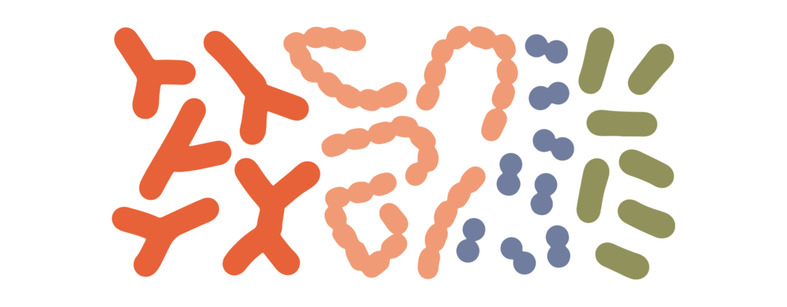 Illustration Bakterien