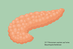 Illustration Bauchspeicheldrüse.