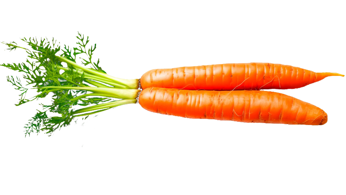 Zwei Karotten mit Grün
