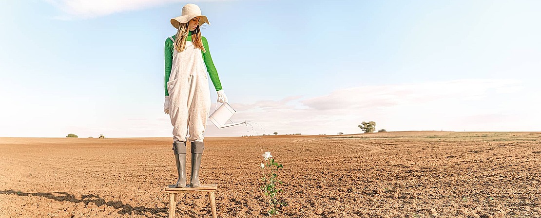 Frau mit Sonnenhut gießt mit Gießkanne eine Pflanze auf trockenem Boden
