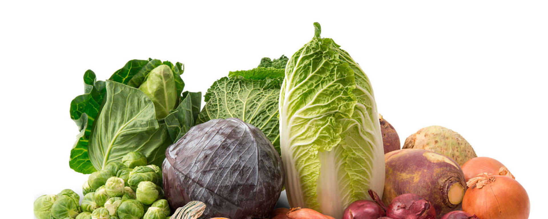 Eine Vielzahl von frischem Gemüse, darunter Kürbis, Kohl, Napa-Kohl, Rosenkohl, Rotkohl, Zwiebeln, Schalotten und Wurzelgemüse, alle auf einem weißen Hintergrund angeordnet.