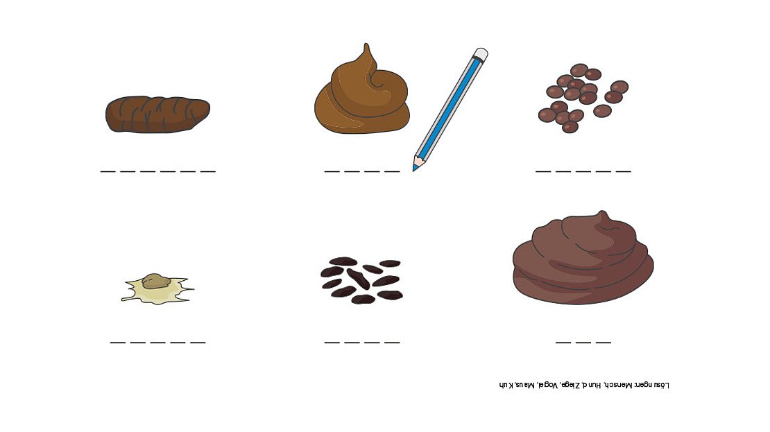 Sechs Abbildungen zeigen verschiedene Tierkotarten, einen Bleistift und Kakaobohnen, jeweils mit einer leeren Zeile zur Beschriftung darunter. Die Anweisung "Beschriften Sie die Zeichnungen unten: Mensch, Kaninchen, Hund, Bär oder Fledermaus" erscheint unten rechts, auf dem Kopf stehend.