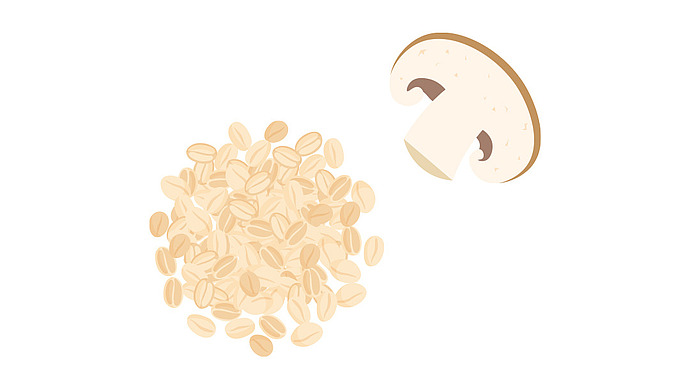 Illustration: Ein Haufen Getreide neben einem einzelnen in Scheiben geschnittenen weißen Pilz, beides auf einem schlichten weißen Hintergrund abgebildet.