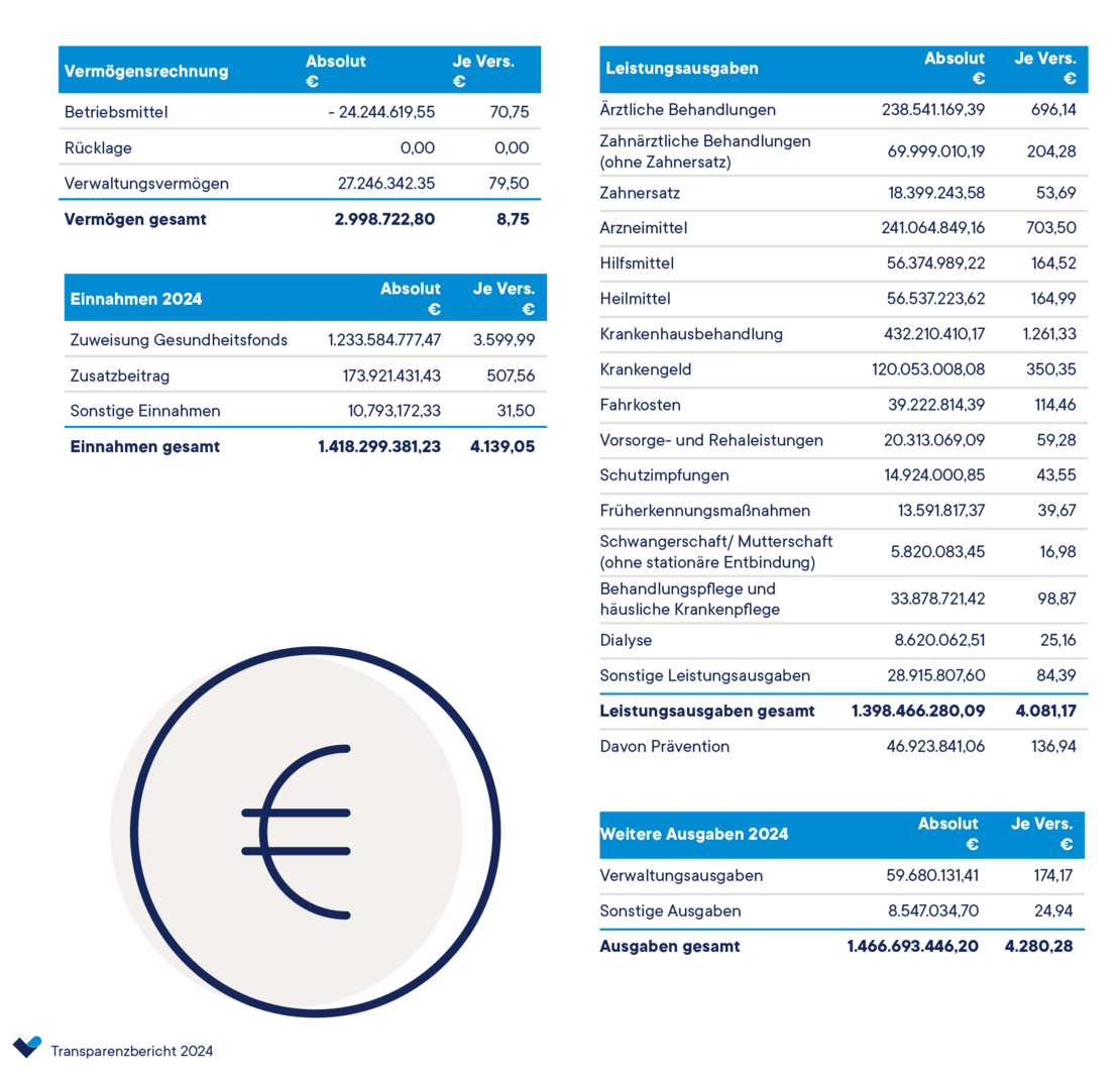 Ein Finanzbericht zeigt die Einnahmen und Ausgaben für das Jahr 2024 in deutscher Sprache, mit Tabellen, die Zahlen in Euro und Prozenten enthalten. Am unteren Rand befindet sich ein großes Euro-Symbol. Der Hintergrund ist hellblau mit blauen und weißen Akzenten.
