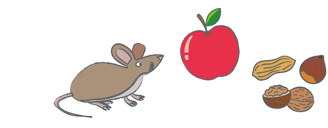 Illustration von einer Maus, einem Apfel und Nüssen