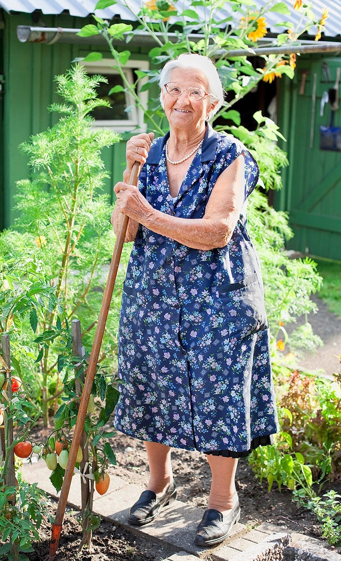 Eine ältere Frau in einer blauen geblümten Schürze steht lächelnd in einem Garten und hält eine Harke. Sie ist umgeben von grünen Pflanzen und reifen Tomaten, mit einem grünen Gebäude im Hintergrund.
