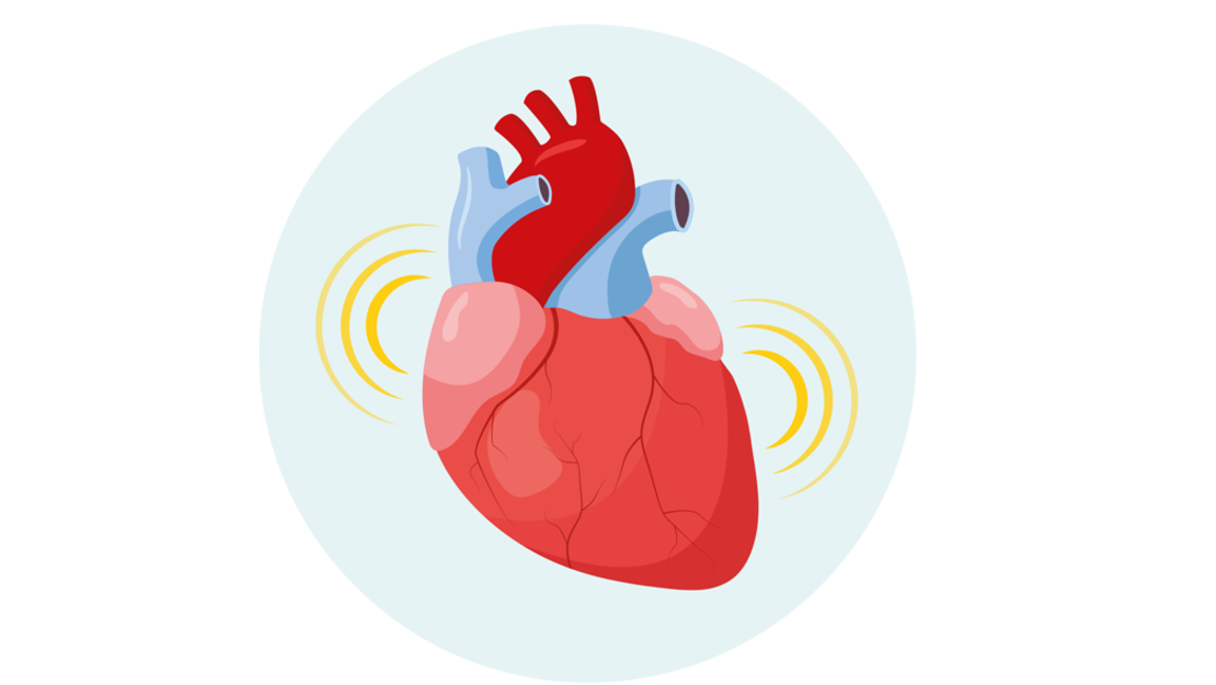 Illustration eines menschlichen Herzens mit gelben gebogenen Linien auf beiden Seiten, die einen Herzschlag oder Pulsschlag symbolisieren, vor einem hellblauen Hintergrund. Die Herzkammern und die wichtigsten Blutgefäße sind deutlich dargestellt.