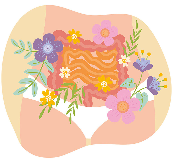 Illustration des Unterkörpers einer Person in Unterwäsche, mit einem stilisierten Verdauungssystem und bunten Blumen und Blättern, die es umgeben, als Symbol für Darmgesundheit und Wohlbefinden.
