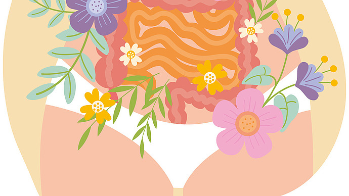 Illustration des Unterkörpers einer Person in Unterwäsche, mit einem stilisierten Verdauungssystem und bunten Blumen und Blättern, die es umgeben, als Symbol für Darmgesundheit und Wohlbefinden.