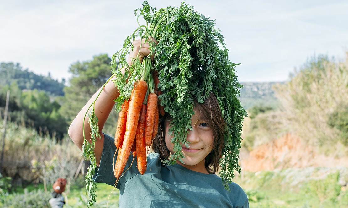 Junge mit Möhren