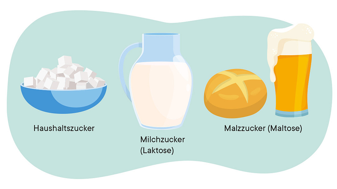 Abbildung zeigt Zuckerquellen: eine Schüssel mit Zuckerwürfeln mit der Aufschrift „Haushaltszucker“, ein Krug Milch mit der Aufschrift „Milchzucker (Laktose)“, ein Brötchen mit der Aufschrift „Malzzucker“ und ein Glas Bier mit der Aufschrift „Malzzucker (Maltose)“.