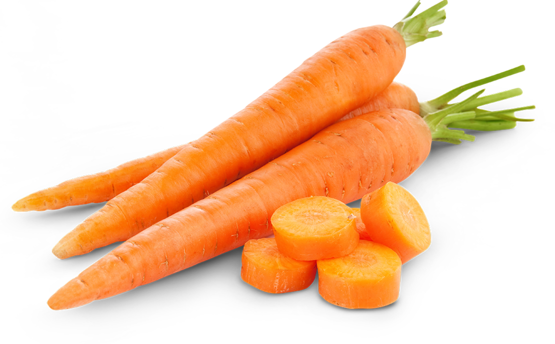 Drei ganze Karotten mit grünen Köpfen und drei Karottenscheiben sind auf einem weißen Hintergrund angeordnet. Die Karotten sind leuchtend orange und sehen frisch aus.