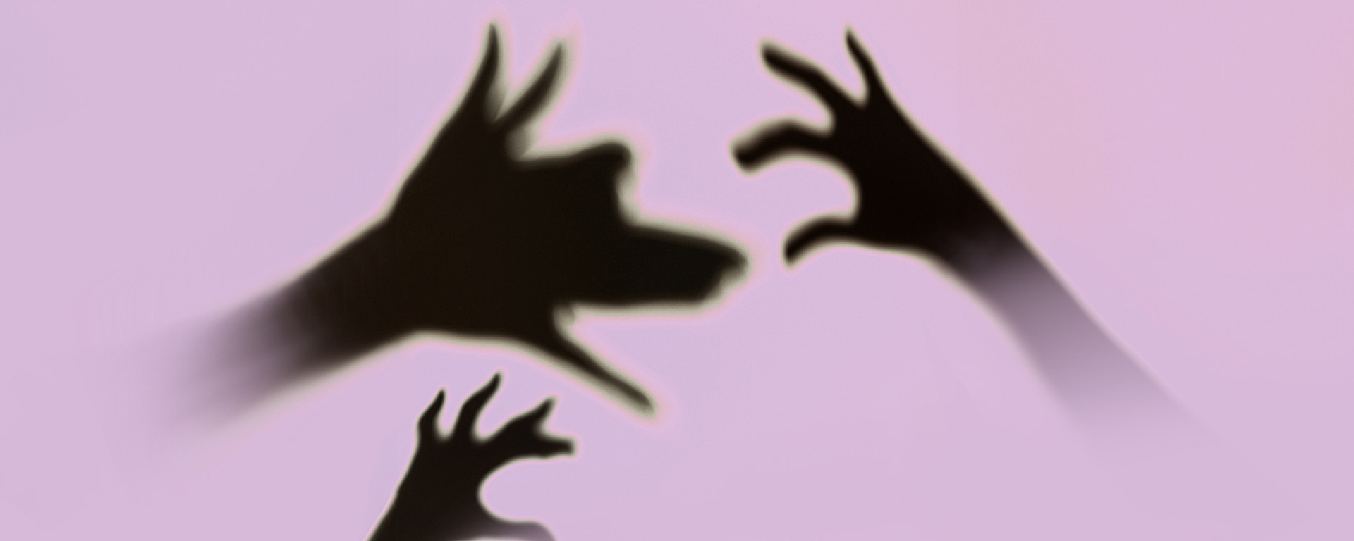 Drei Handschatten erscheinen auf einem hellvioletten Hintergrund; eine Hand bildet die Form eines Hundes, während die anderen wie Klauen aussehen, die sich ihm entgegenstrecken.