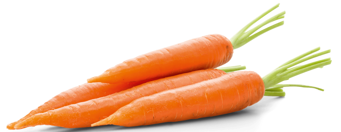 Drei frische, orangefarbene Karotten mit grünen Spitzen liegen überlappend auf einem weißen Hintergrund.