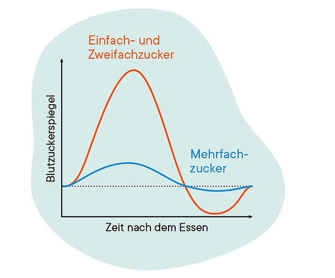 Ein Diagramm, das den Blutzuckerspiegel im Zeitverlauf nach dem Essen zeigt. Die orange Linie (einfache Zucker) steigt schnell an und fällt dann ab, während die blaue Linie (komplexe Zucker) allmählich ansteigt und langsamer abfällt. Die Beschriftungen sind auf Deutsch.